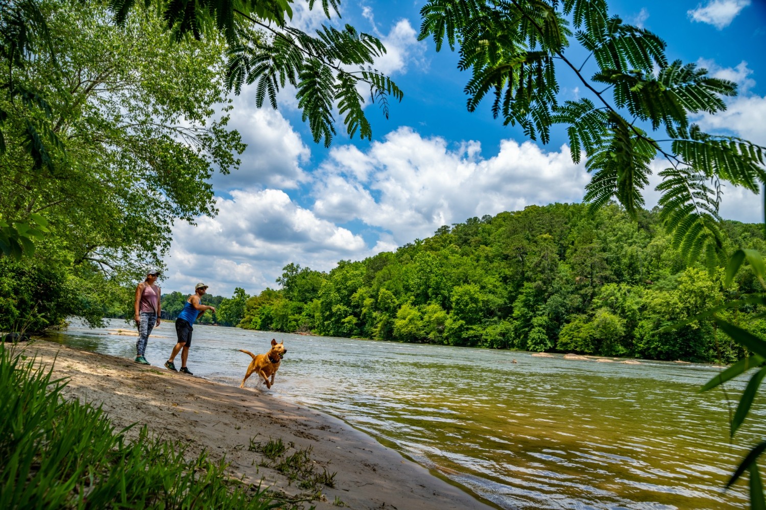 They are Dog-Friendly trails, and perfect for pedestrians, hikers, and cyclists.