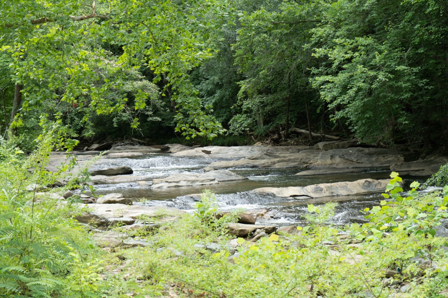 Bob Callan Trail is on Chattahoochee River, Rottenwood Creek, and Long Island Creek in Chattahoochee River National Recreation Area, GA.